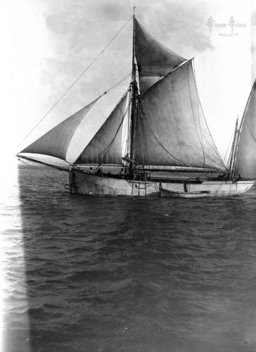 Málaga: 1901
