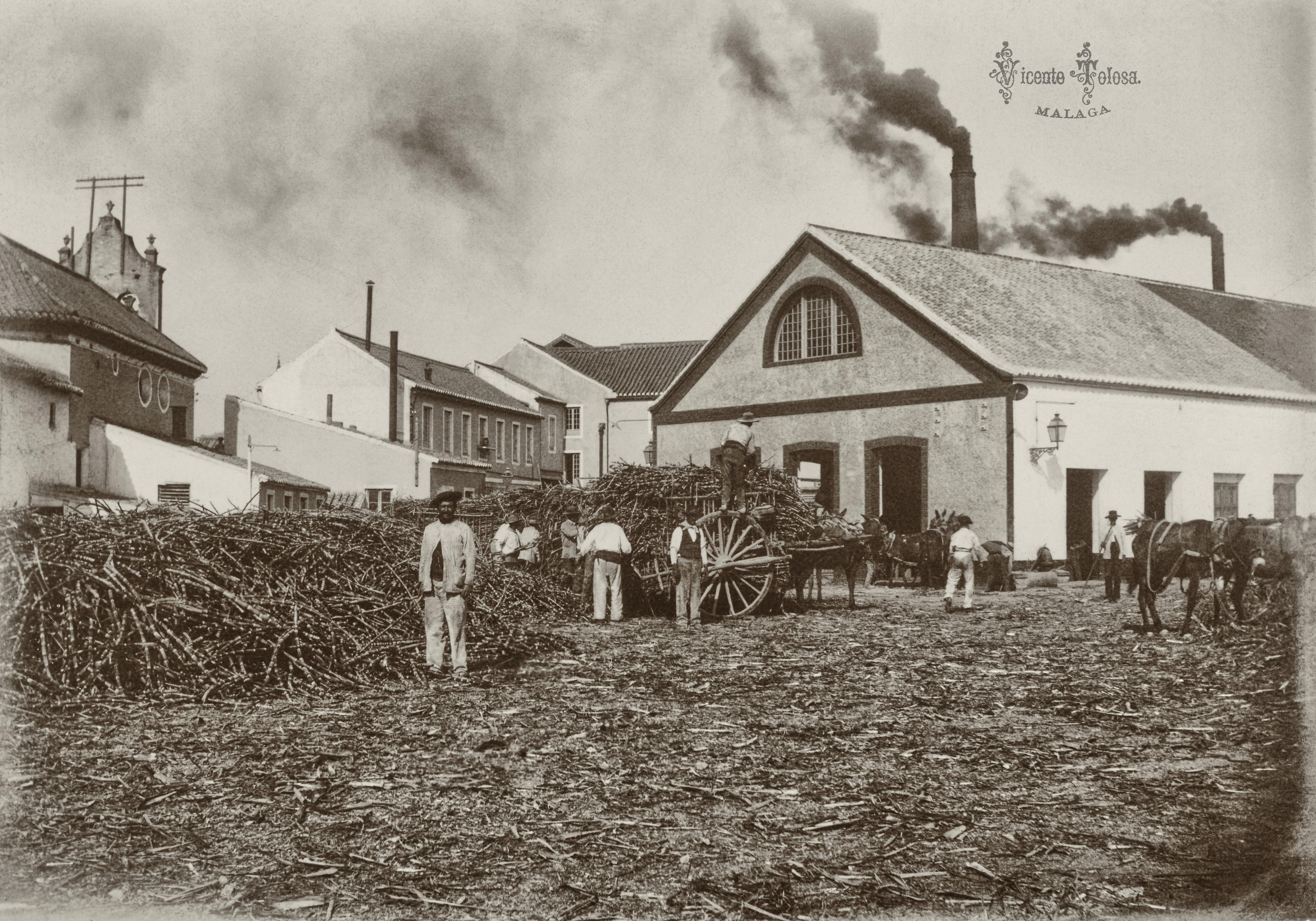 Malaga, Azucarera Zamarrilla o de Nuestra Sra. de la Concepcion, 1901