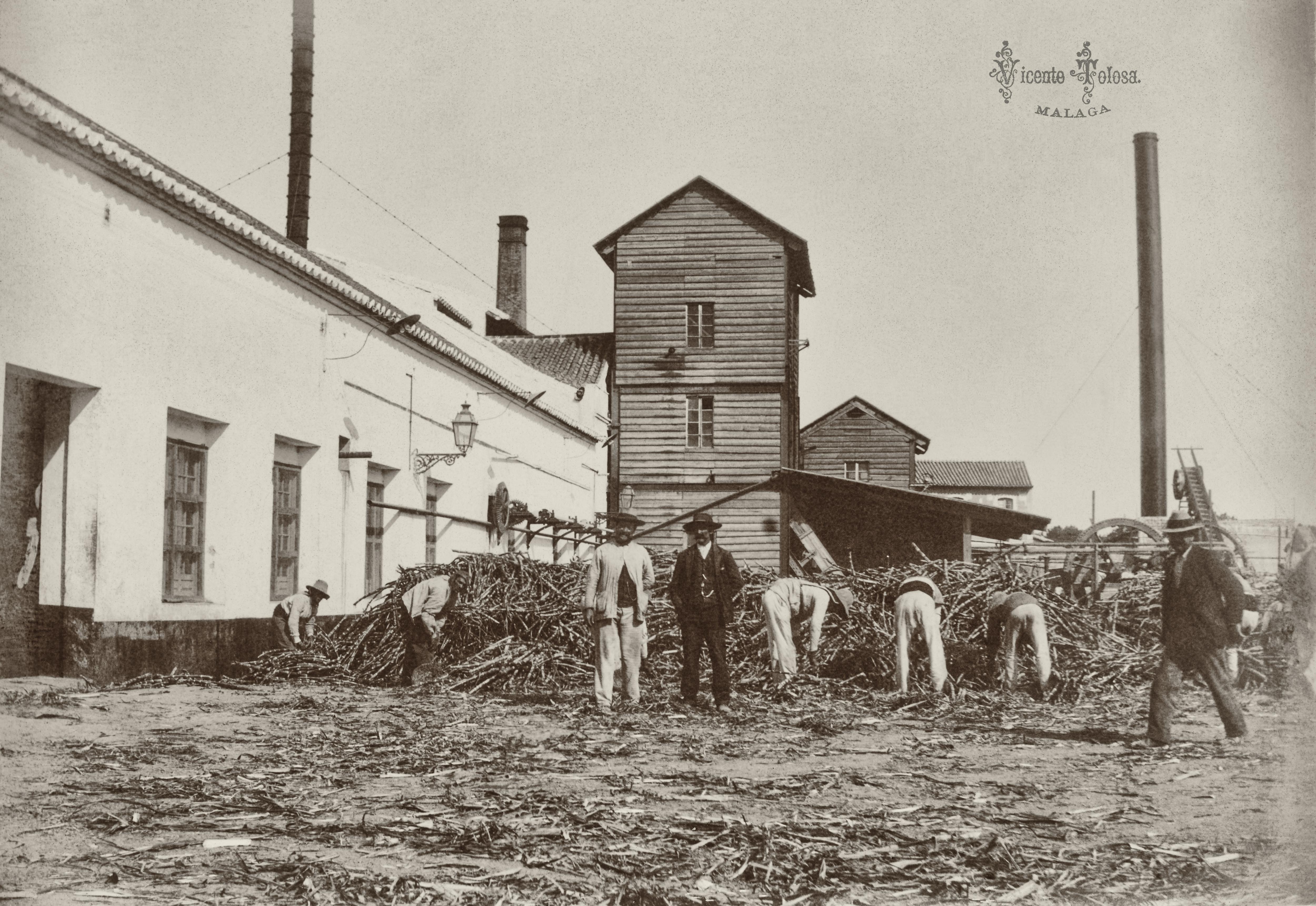 Malaga, Azucarera Zamarrilla o de Nuestra Sra. de la Concepcion, 1901. (copia en papel)