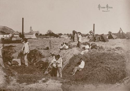 Malaga, Azucarera Zamarrilla o de Nuestra Sra. de la Concepcion, 1901