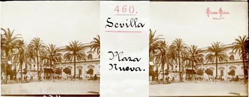 Sevilla: Plaza Nueva. 1906