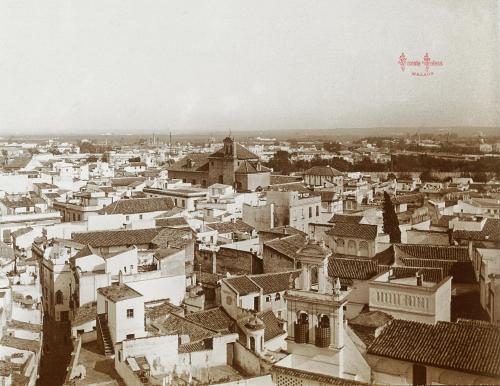 Sevilla: Vista desde la Giralda. 1906