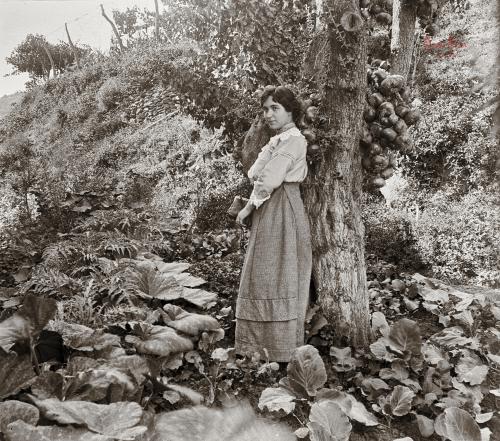 Lanjarón: Srta. En el huerto. 1-9-1913