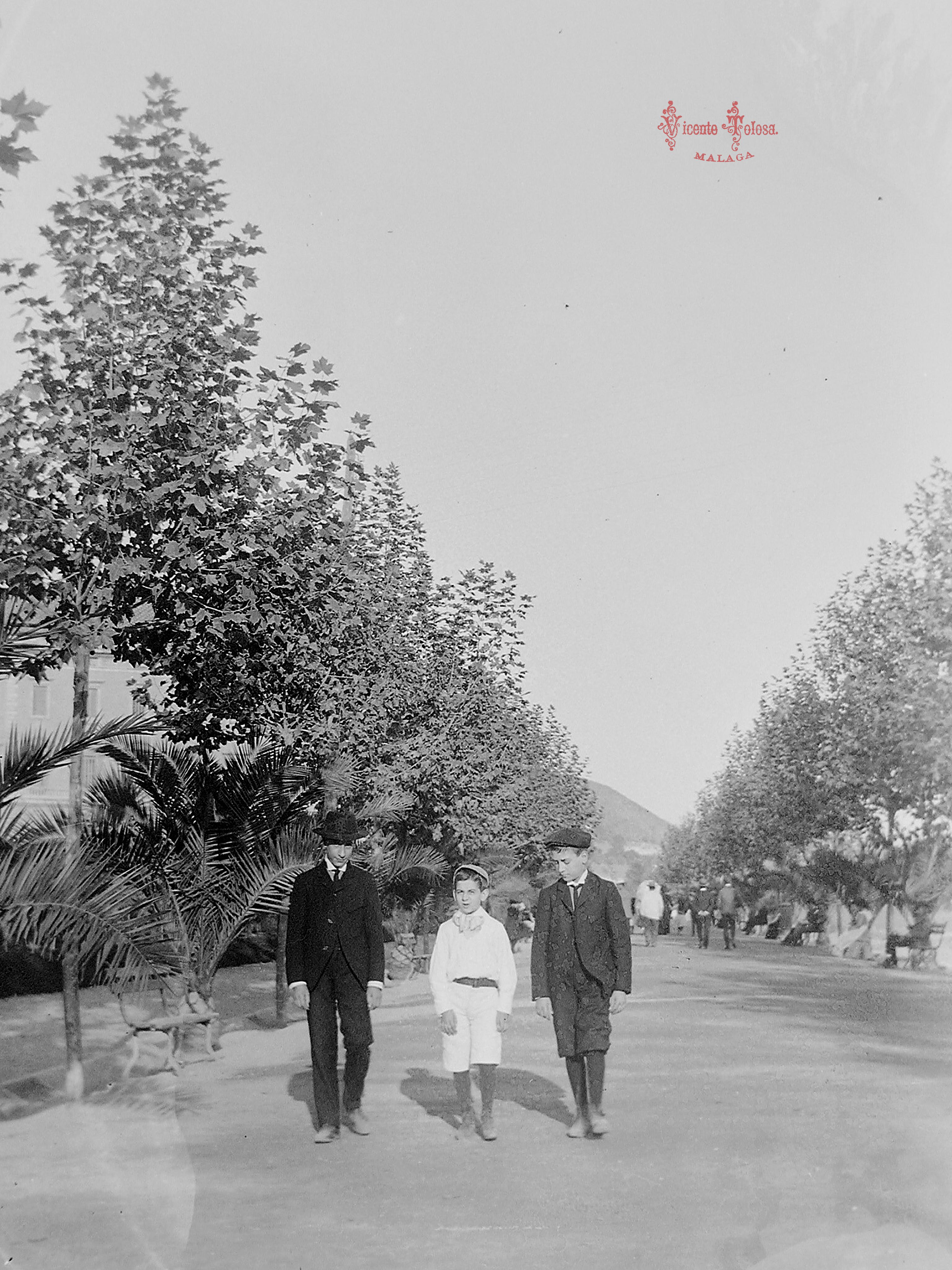 Malaga: (El Parque). 1904