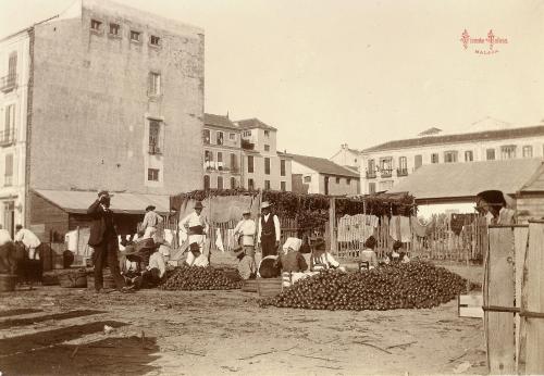 Malaga: Vendiendo cebollas. 1903. (papel)