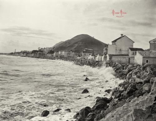Málaga: Monte Sancha. 1903. (negativo en vidrio)