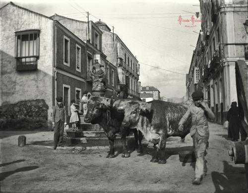 Malaga: Fuente de la Ninfa de la Caracola, con Antonio Sanchez Tolosa a la izquierda. 1903. (negativo en vidrio)