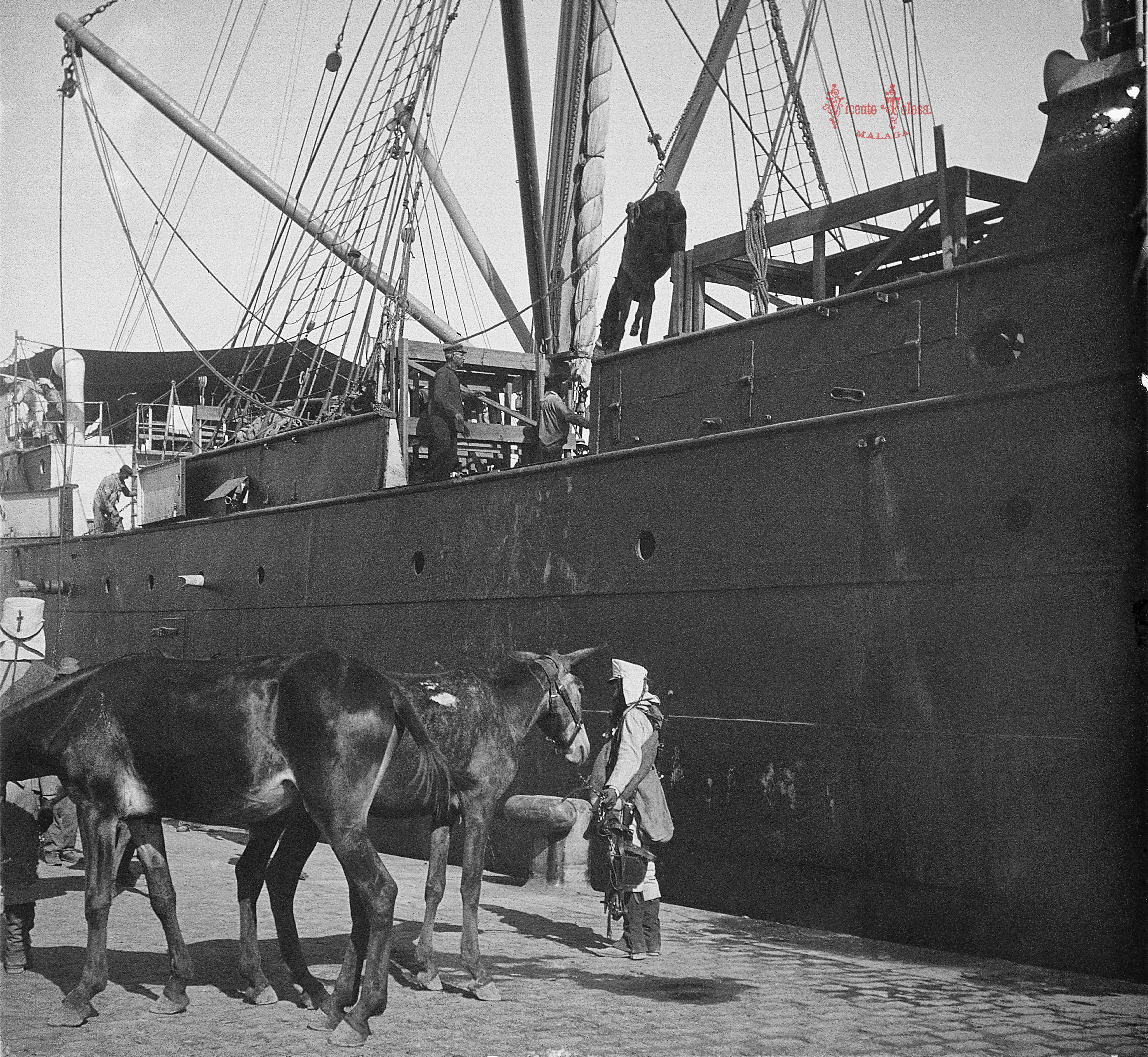 Malaga: Embarque de ganado de Artilleria de montaña en el vapor Isla de Luzon. 1909