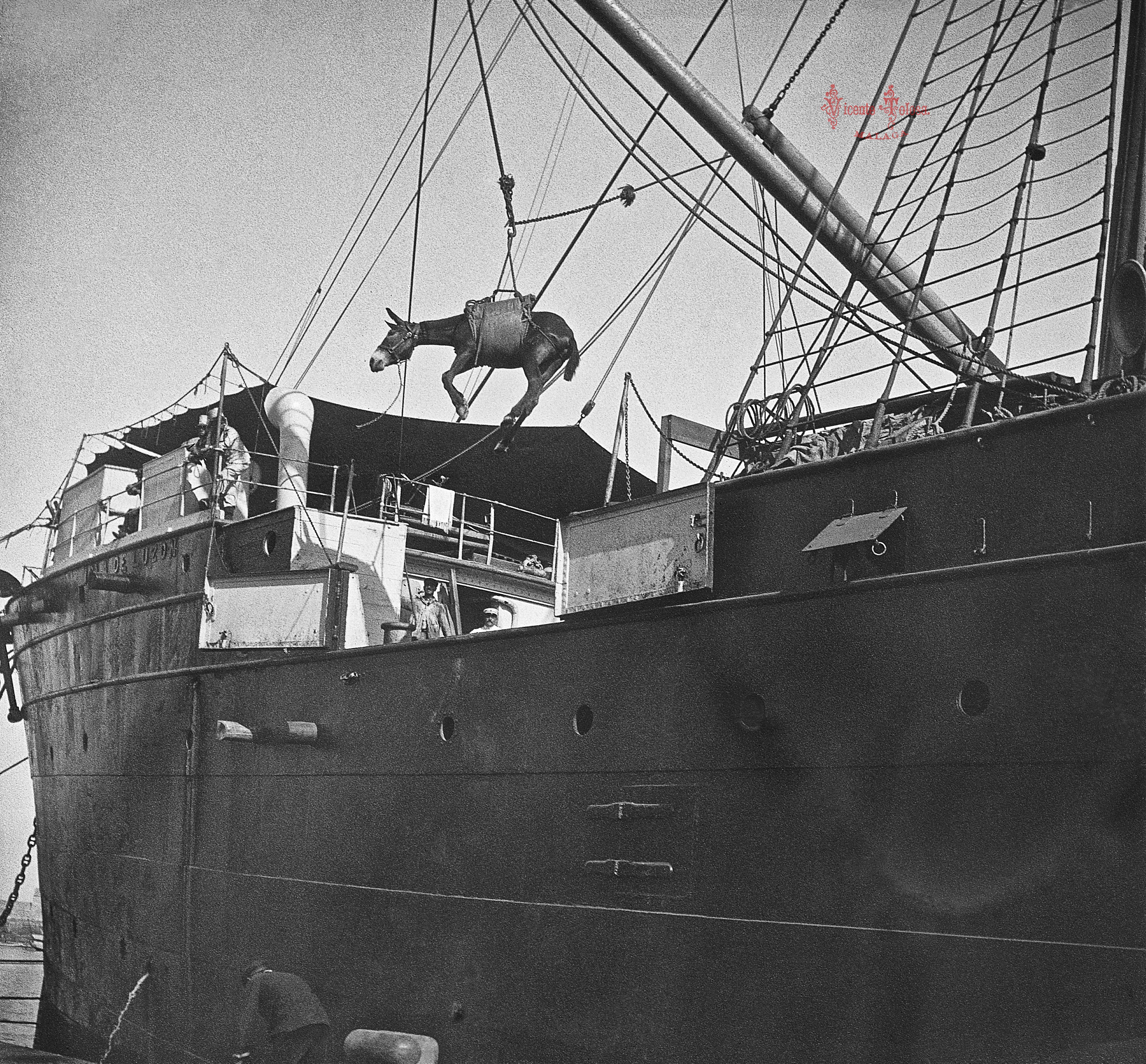 Malaga: Embarque de ganado de Artilleria de montaña en el vapor Isla de Luzon. 1909