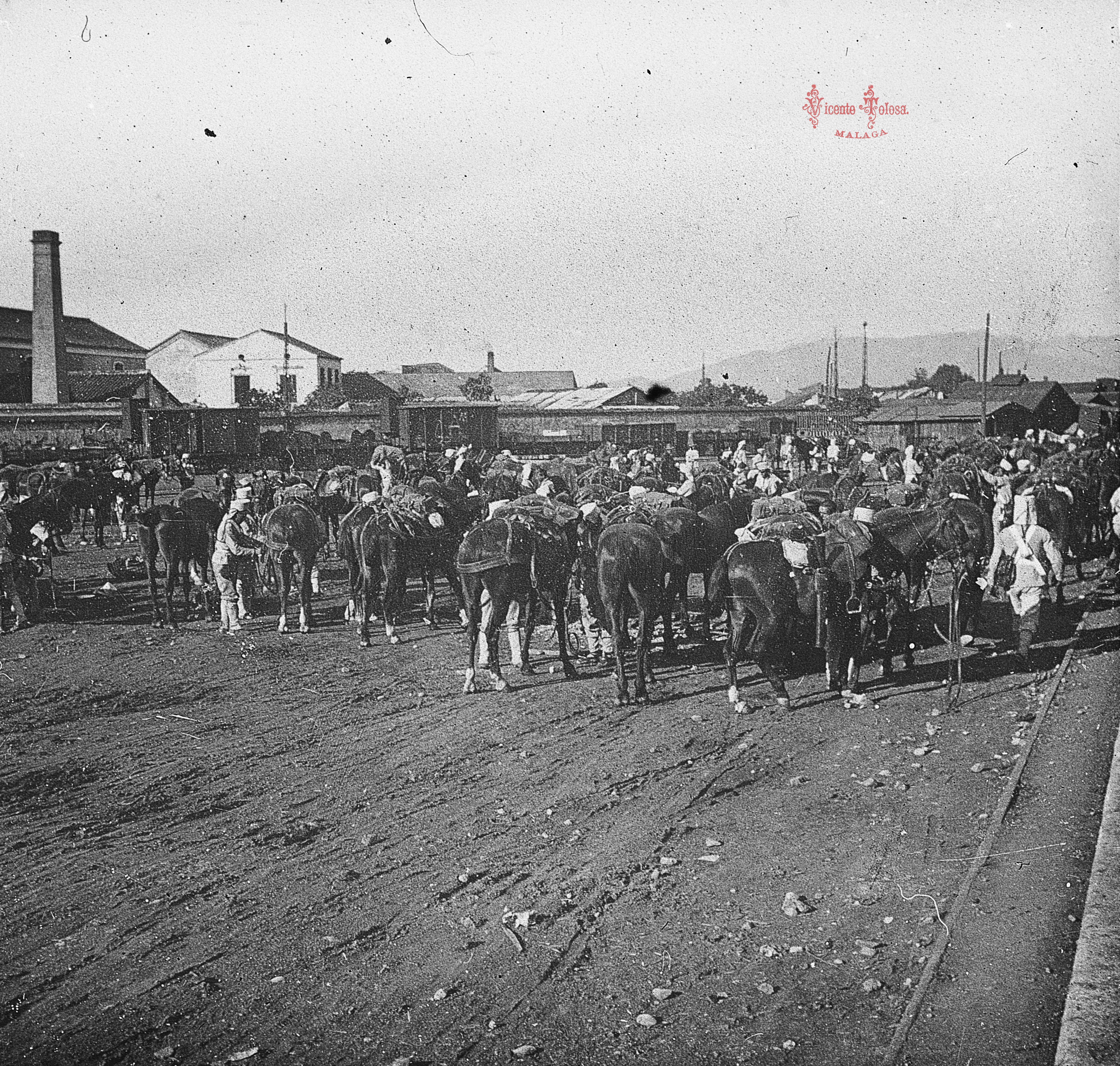 Malaga: Artilleria montada poniendo los atalajes al ganado. 1909