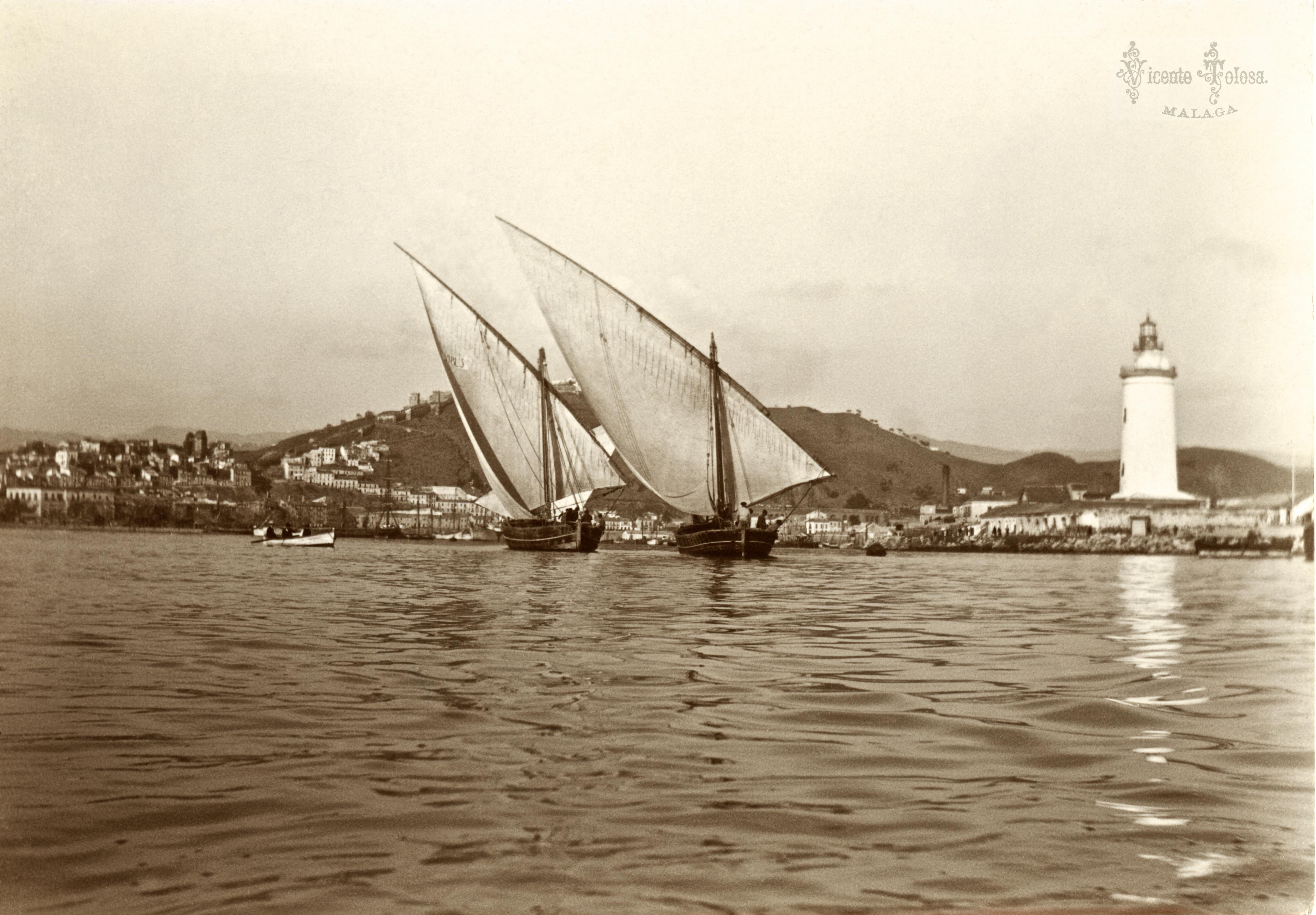 Malaga: Pareja de bou. 1903