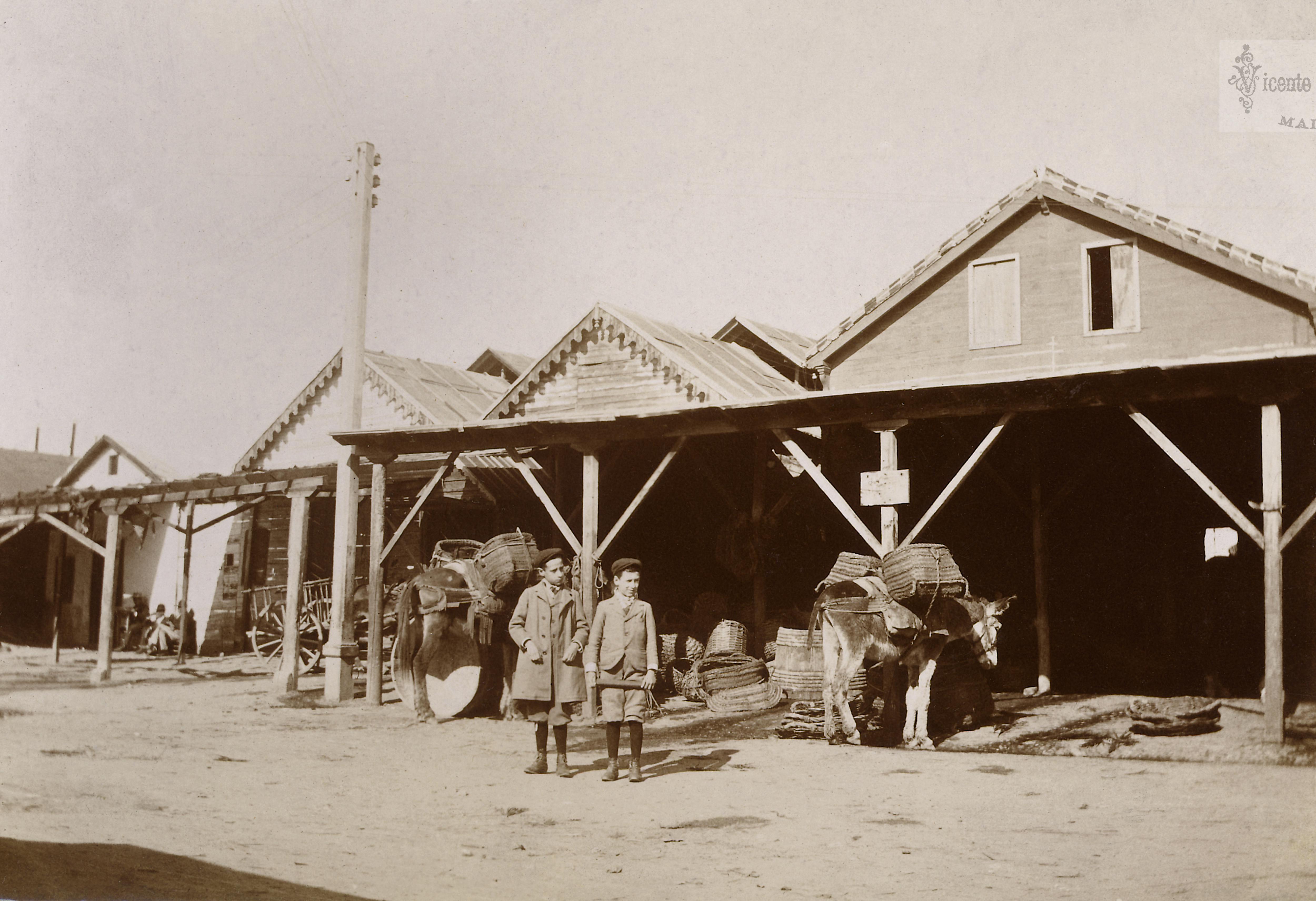 Málaga: 1903. (Abuelo Antonio Sanchez Tolosa, y su hermano Pepe. 