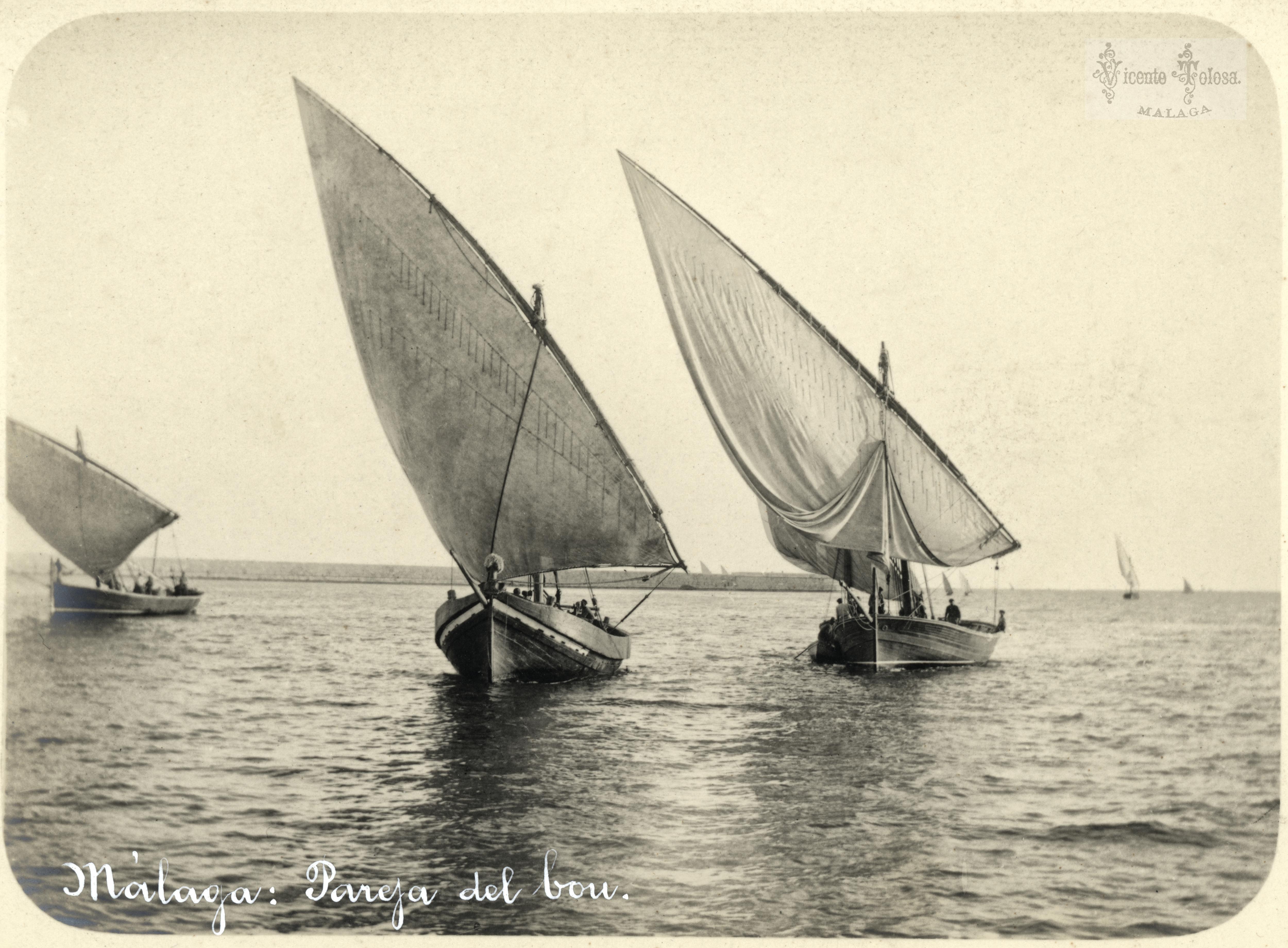 Malaga: Pareja del bou. 1904
