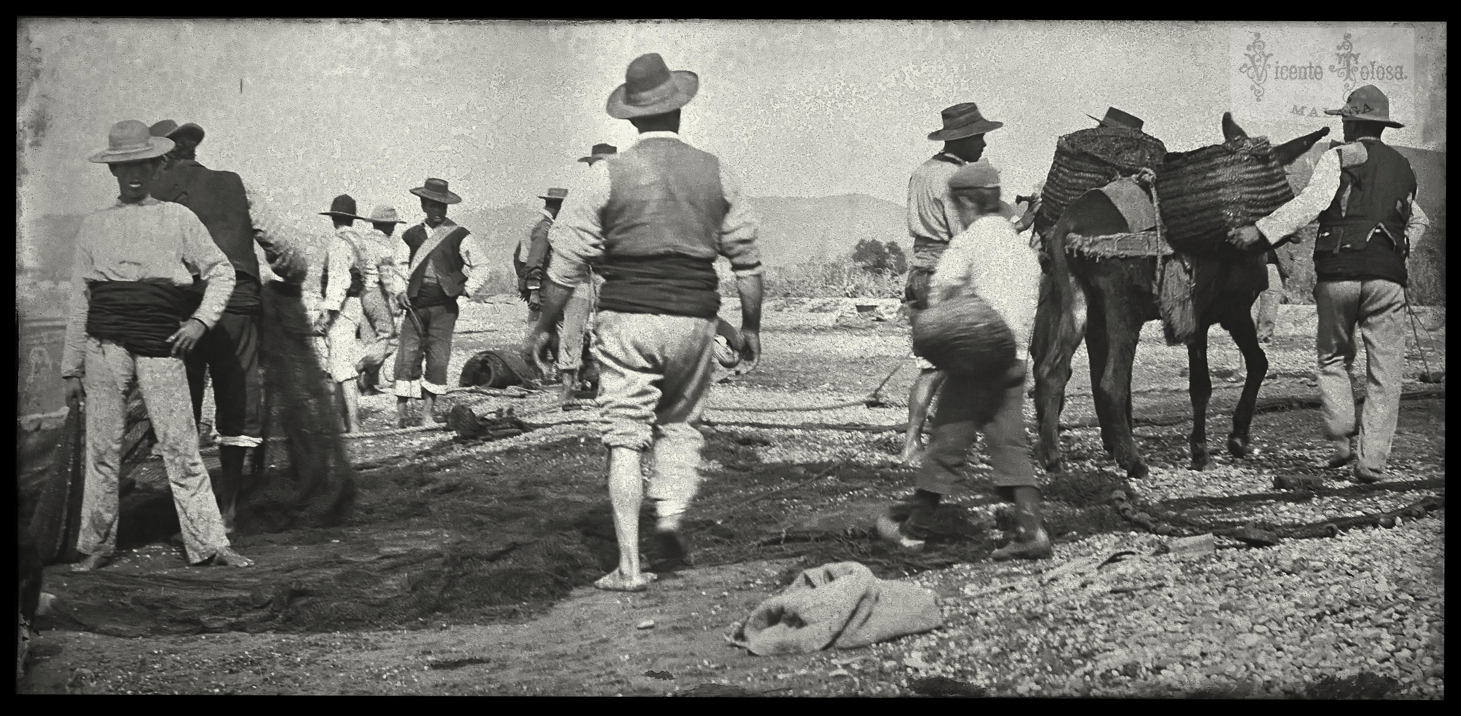 Málaga: 1904 (negativo en vidrio de 8,5 x 4,4 cm)