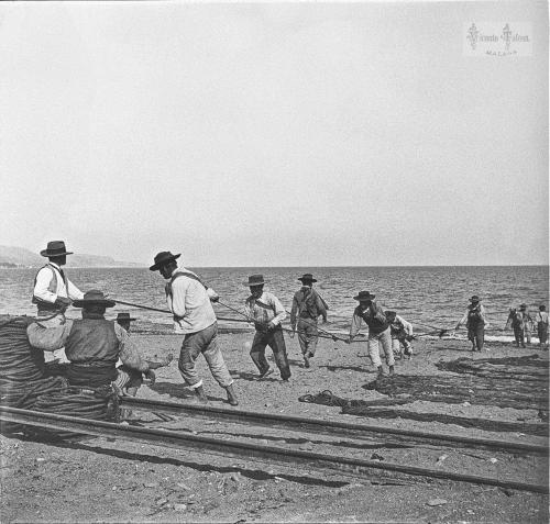 Málaga: 1905. (positivo en vidrio)