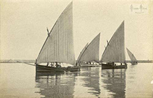 Malaga: Barcas de pareja del bou.  1906
