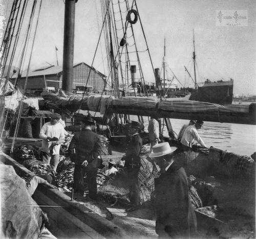 Malaga: Descarga de bacalao. Clasificacion. 1908. (positivo en vidrio)